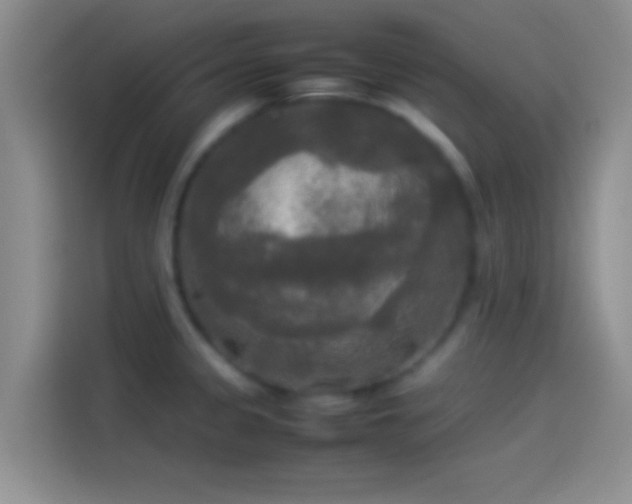 X0000114111333200910131335