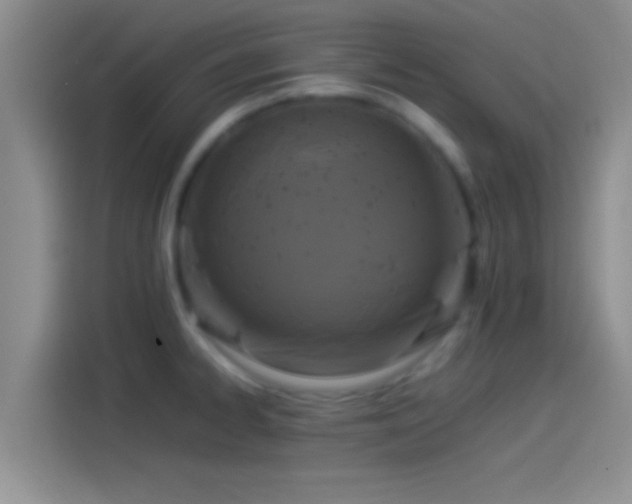X0000114111334200910131335