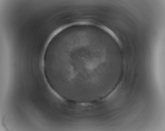 X0000114111335200910131335