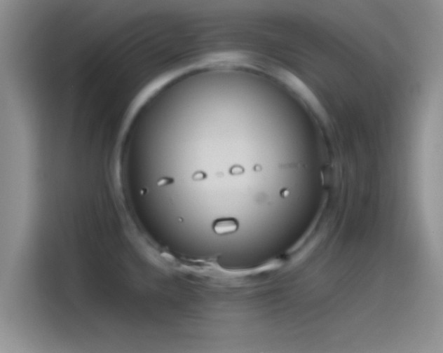 X0000114111336200910131335