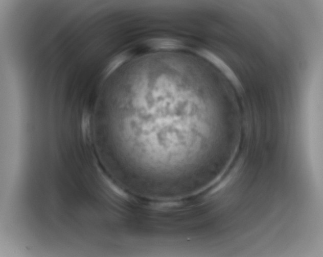 X0000114111337200910131335