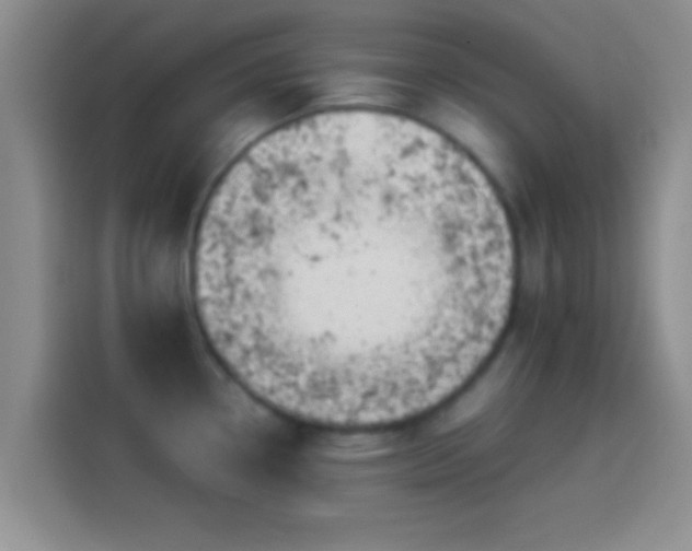 X0000114111338200910131335
