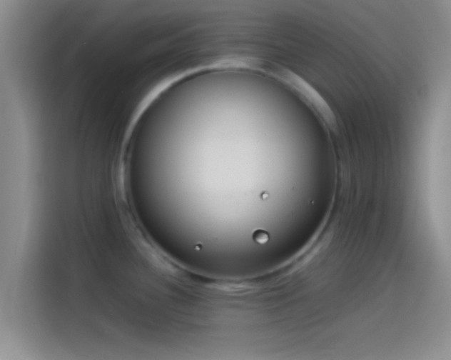 X0000114111340200910131335