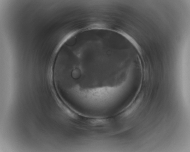 X0000114111341200910131335
