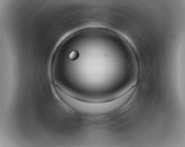 X0000114111342200910131335