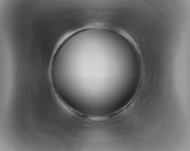 X0000114111344200910131335