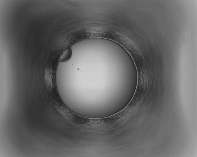 X0000114111346200910131334