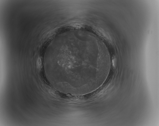 X0000114111347200910131334