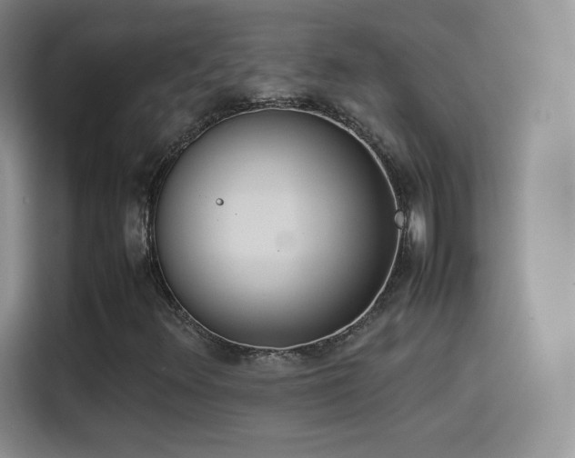 X0000114111348200910131334