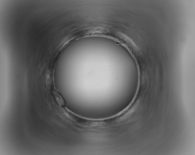 X0000114111353200910131334