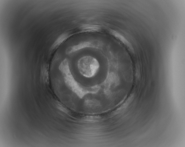 X0000114111354200910131334
