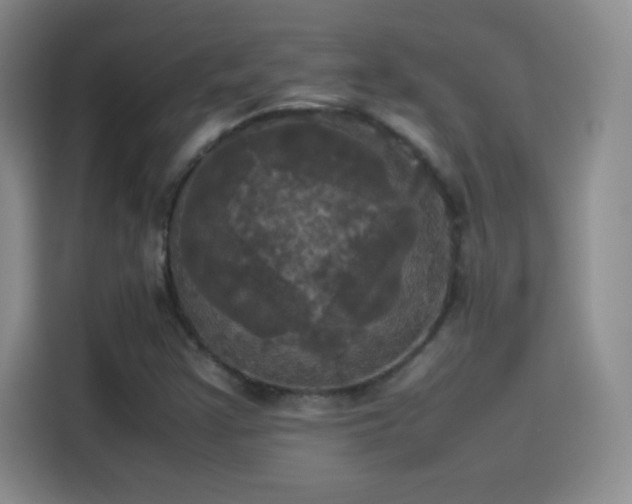 X0000114111355200910131334