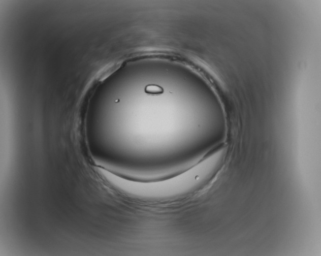 X0000114111357200910131334