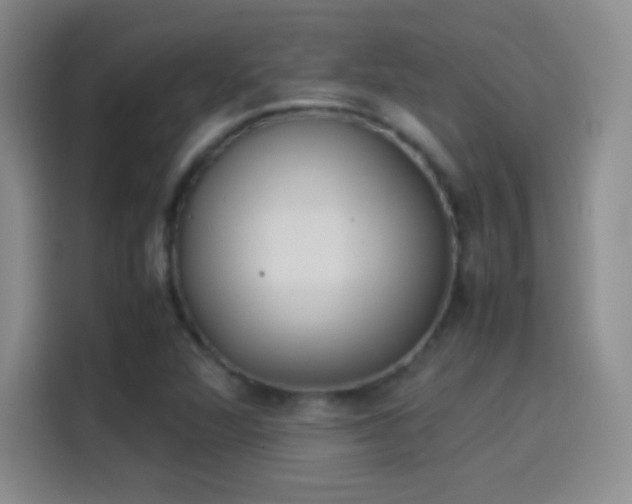 X0000114111360200910131334