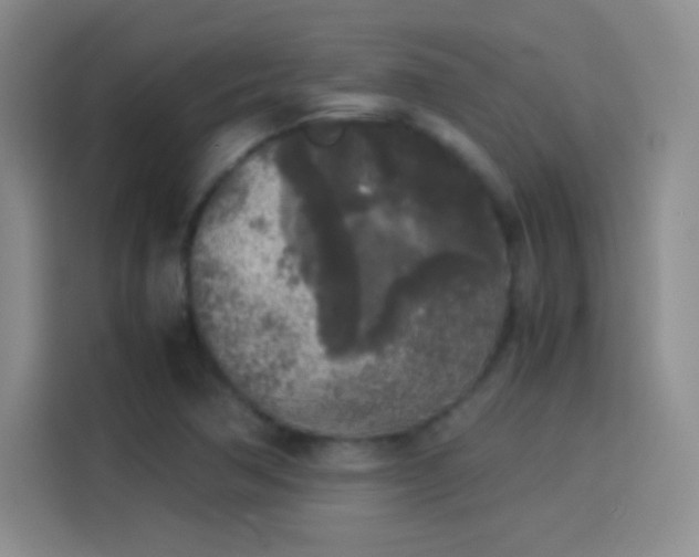 X0000114111362200910131334