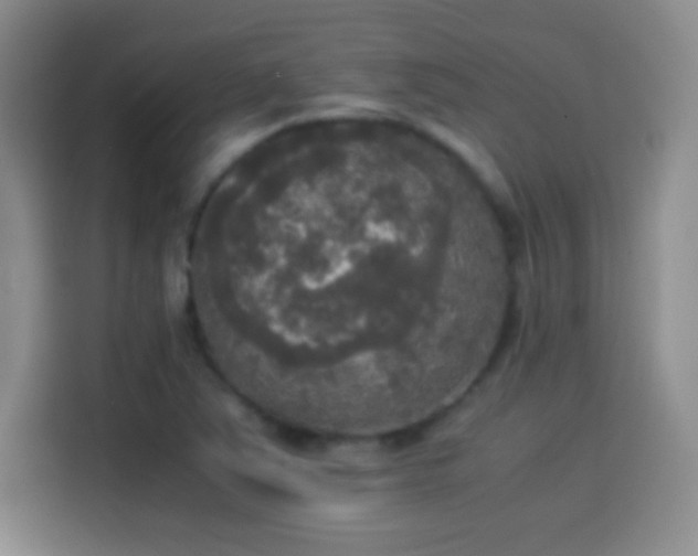 X0000114111363200910131334