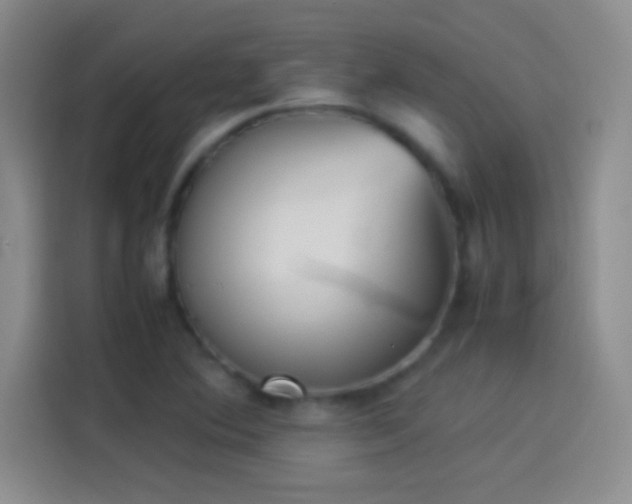 X0000114111364200910131334