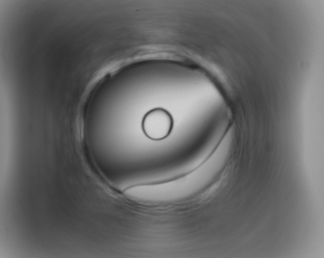 X0000114111365200910131334