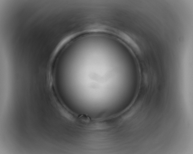 X0000114111368200910131334