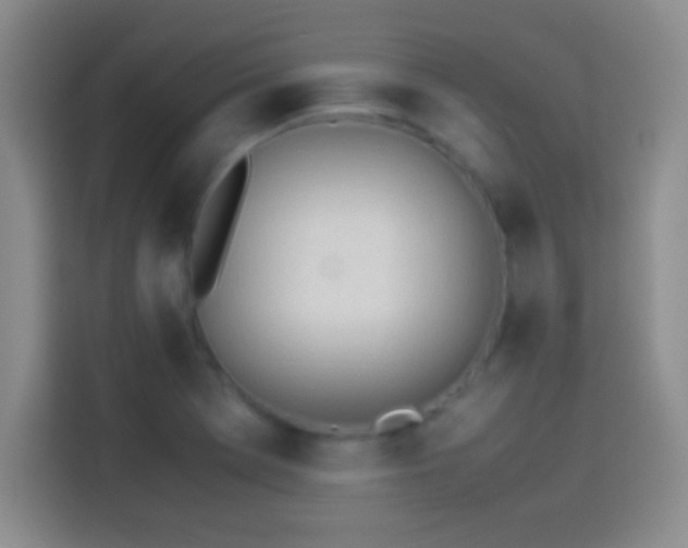 X0000114111369200910131334