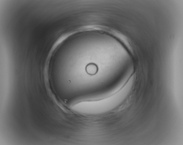 X0000114111373200910131334