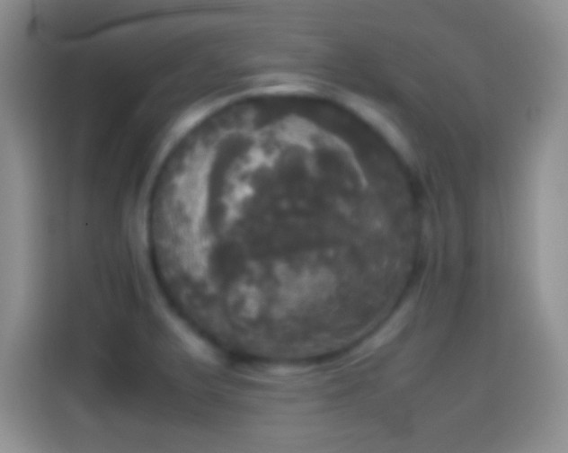 X0000114111375200910131334