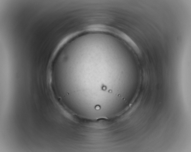 X0000114111376200910131334
