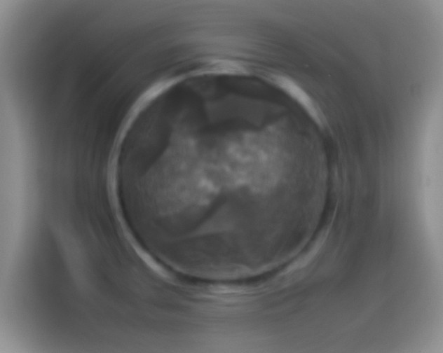 X0000114111379200910131334