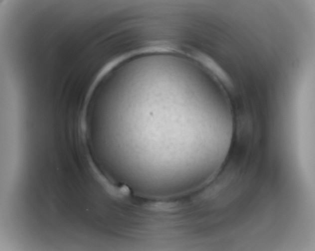 X0000114111380200910131334