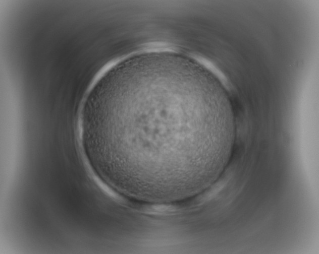 X0000114111383200910131334