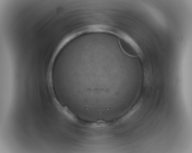 X0000114111384200910131334