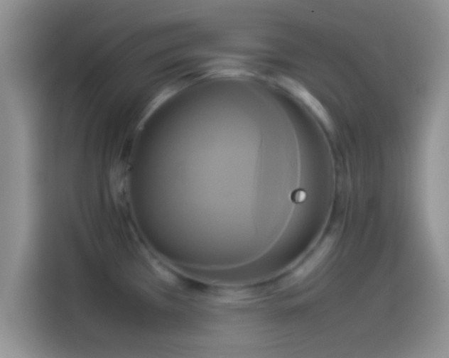 X0000114111385200910131334