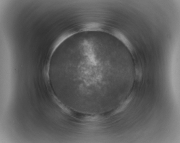 X0000114111386200910131334