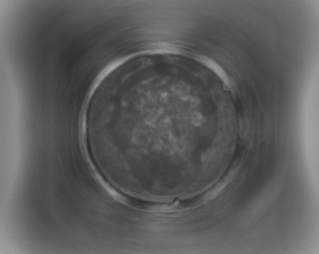 X0000114111387200910131334