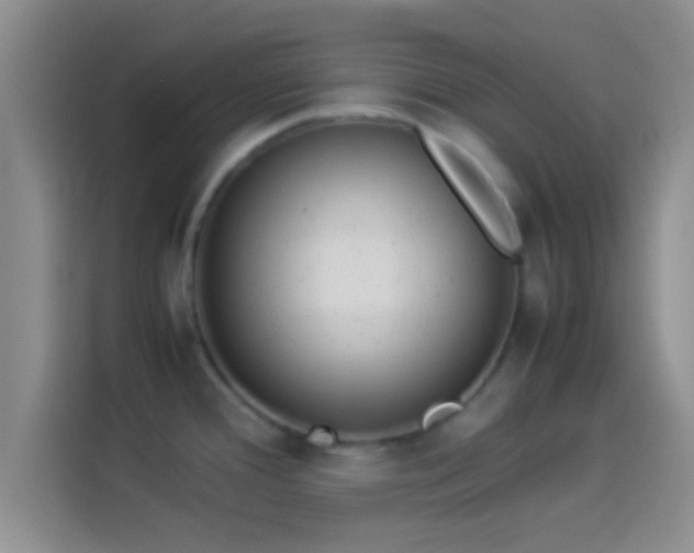 X0000114111388200910131334