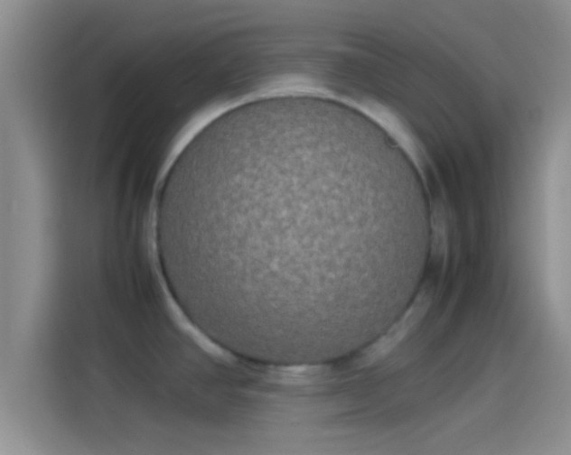 X0000114111390200910131333