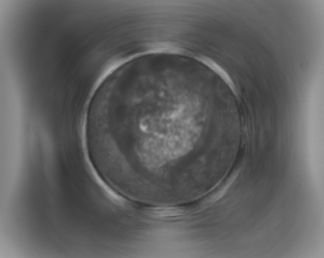 X0000114111391200910131333