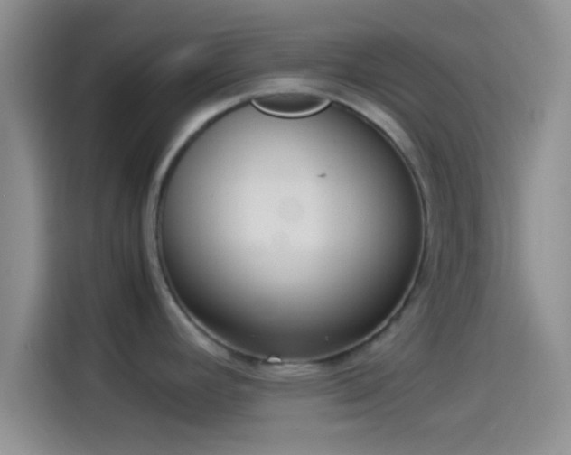 X0000114111392200910131333