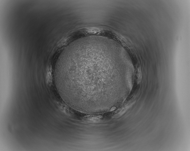 X0000114111394200910131333