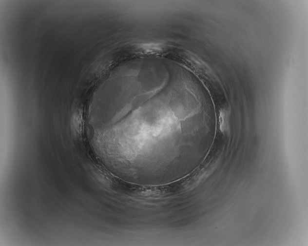 X0000114111395200910131333
