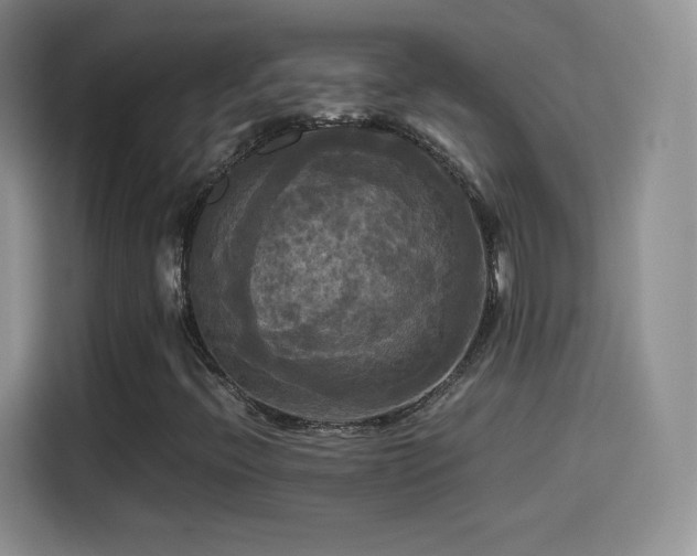 X0000114111396200910131333