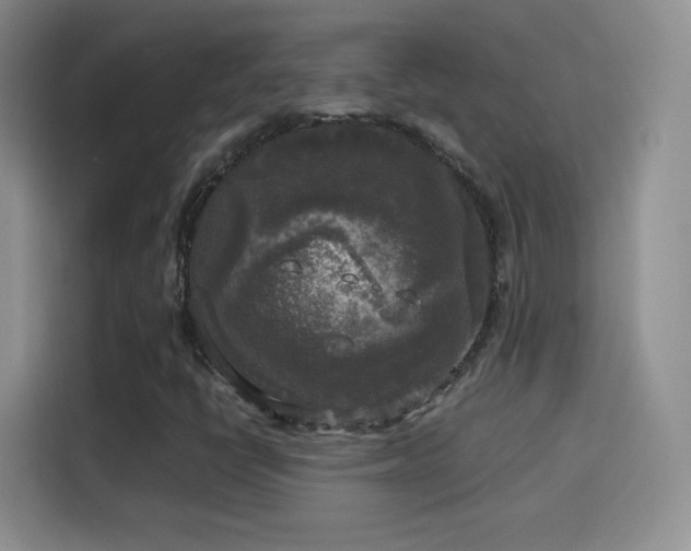 X0000114111398200910131333