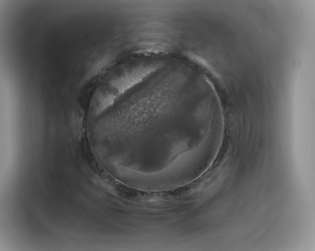 X0000114111399200910131333