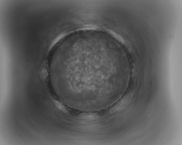 X0000114111400200910131333