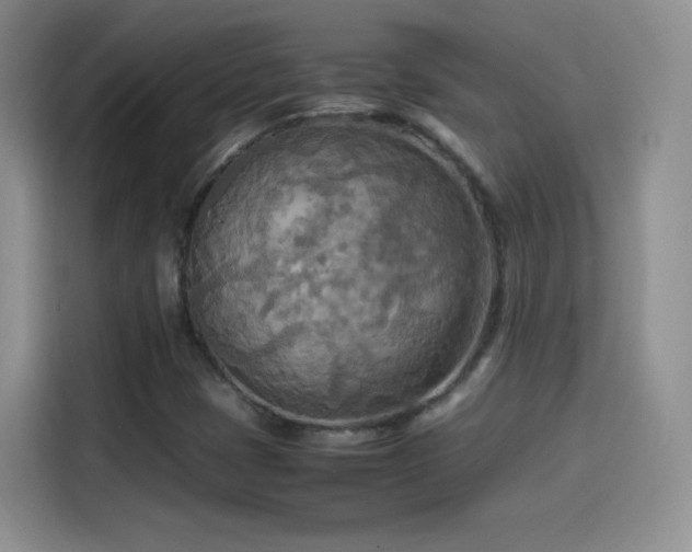 X0000114111401200910131333