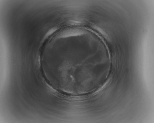X0000114111402200910131333