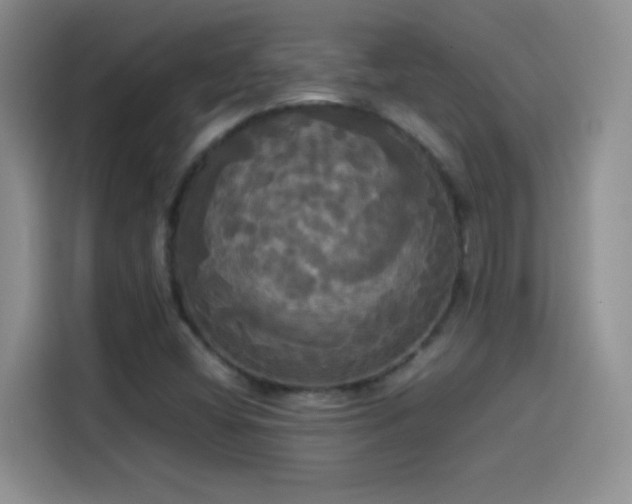 X0000114111404200910131333
