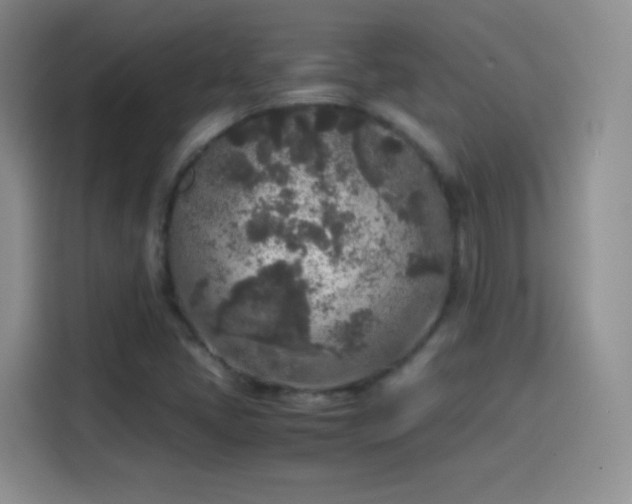 X0000114111405200910131333