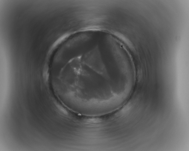 X0000114111406200910131333
