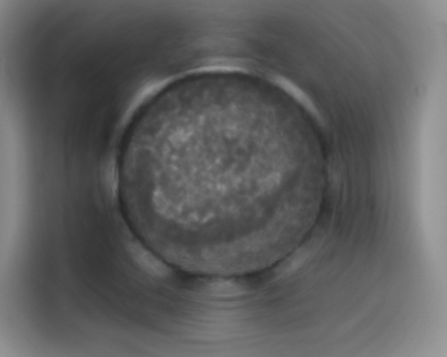 X0000114111408200910131333